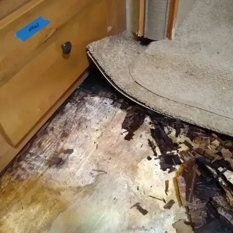 Best Wood Floor Water Damage Service in Kaplan, LA